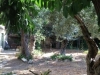 garden2