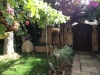 garden1