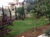 photo-5