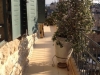 photo8