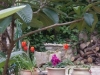 garden home